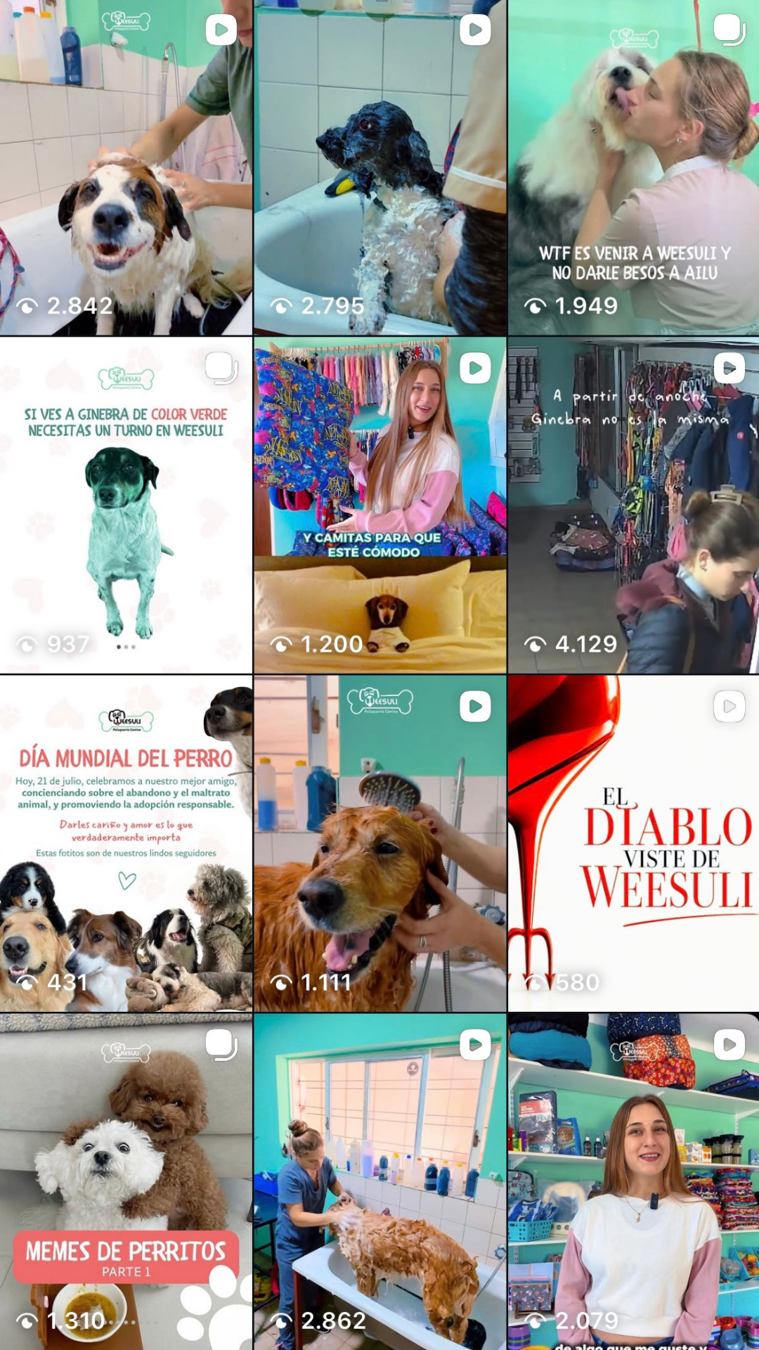Weesuli: Logramos comunidad